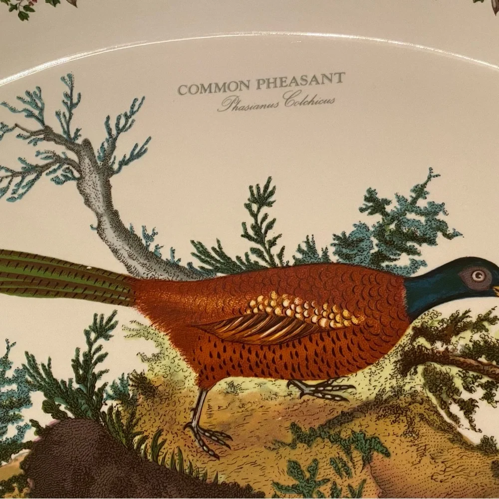 PORTMEIRION CASSEROLE SERVEWARE BAKE DINING COMMON PHEASANT WHITE BROWN GREEN